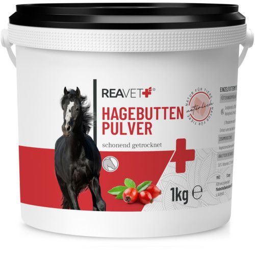 https://www.pestalozzi.de/documents/products/FotoGross/90107328.jpg?ver=1775041441