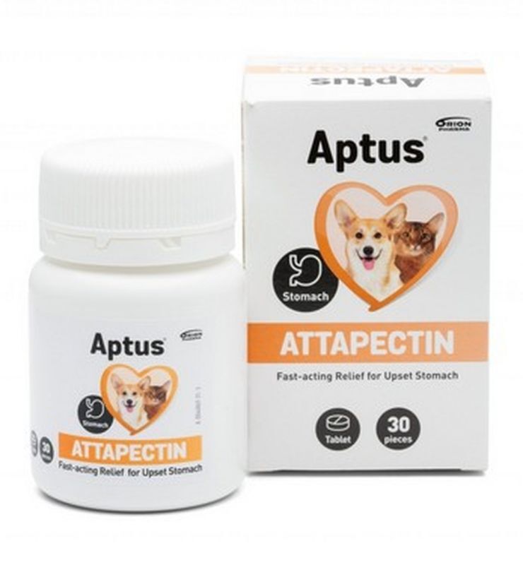 Aptus Attapectin Indigestion medicine for dogs and cats - UKDorf