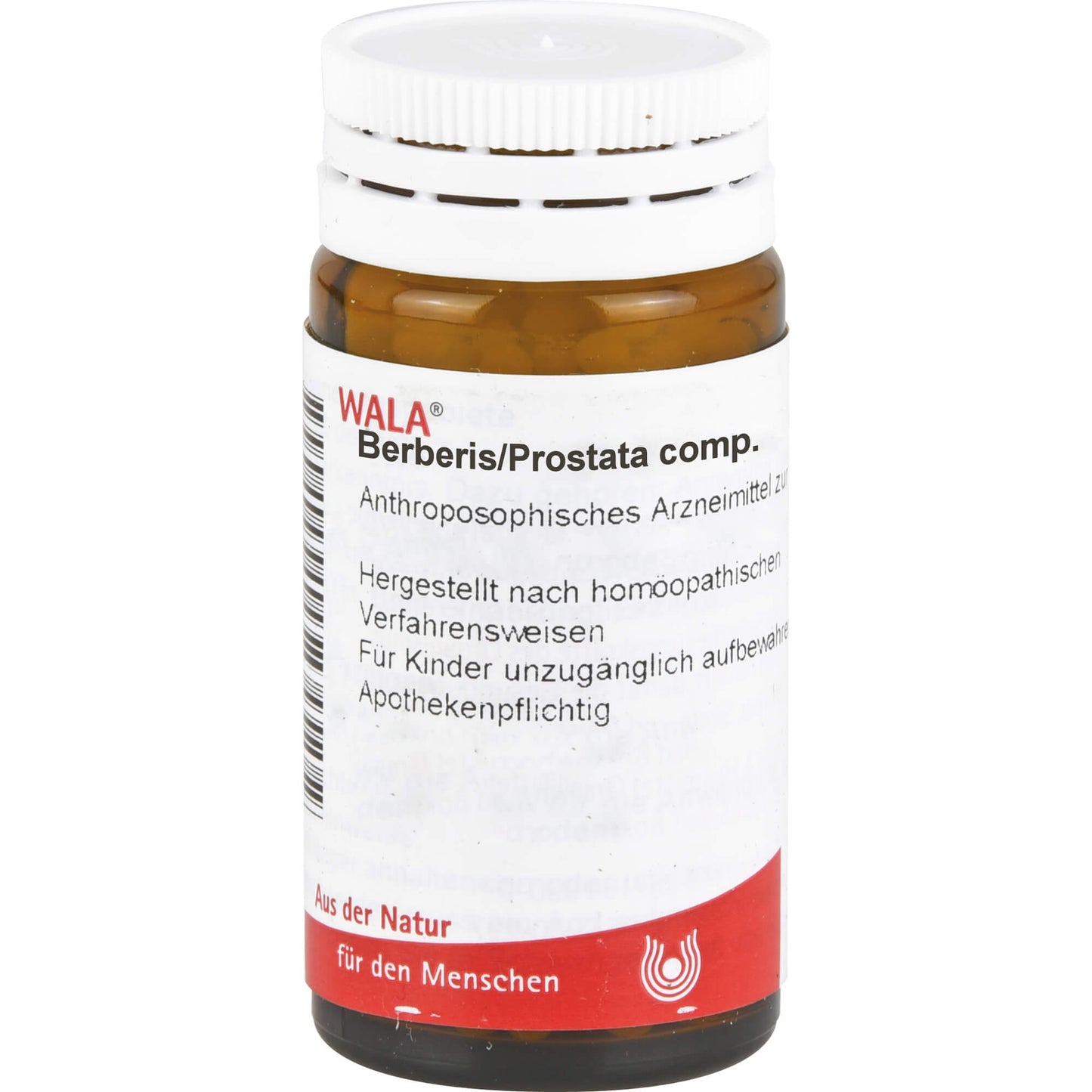 BERBERIS - PROSTATE comp.Globuli