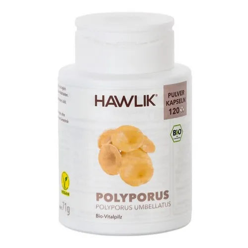 BIO POLYPORUS powder capsules - UKDorf