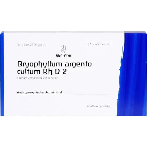 BRYOPHYLLUM ARGENTO cultum Rh D 2 ampoules - UKDorf