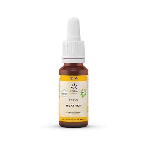 Blossom of attention Heather Organic