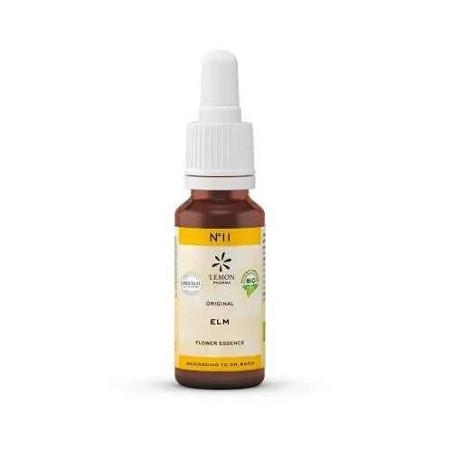 Blossom of inner harmony Elm Organic