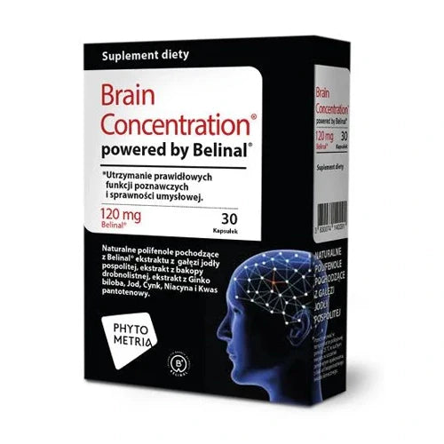 Brain Concentration - UKDorf