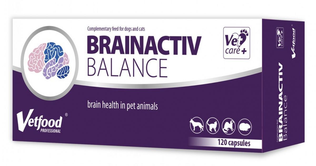 Brainactiv Balance A preparation supporting the nervous system of animals - UKDorf