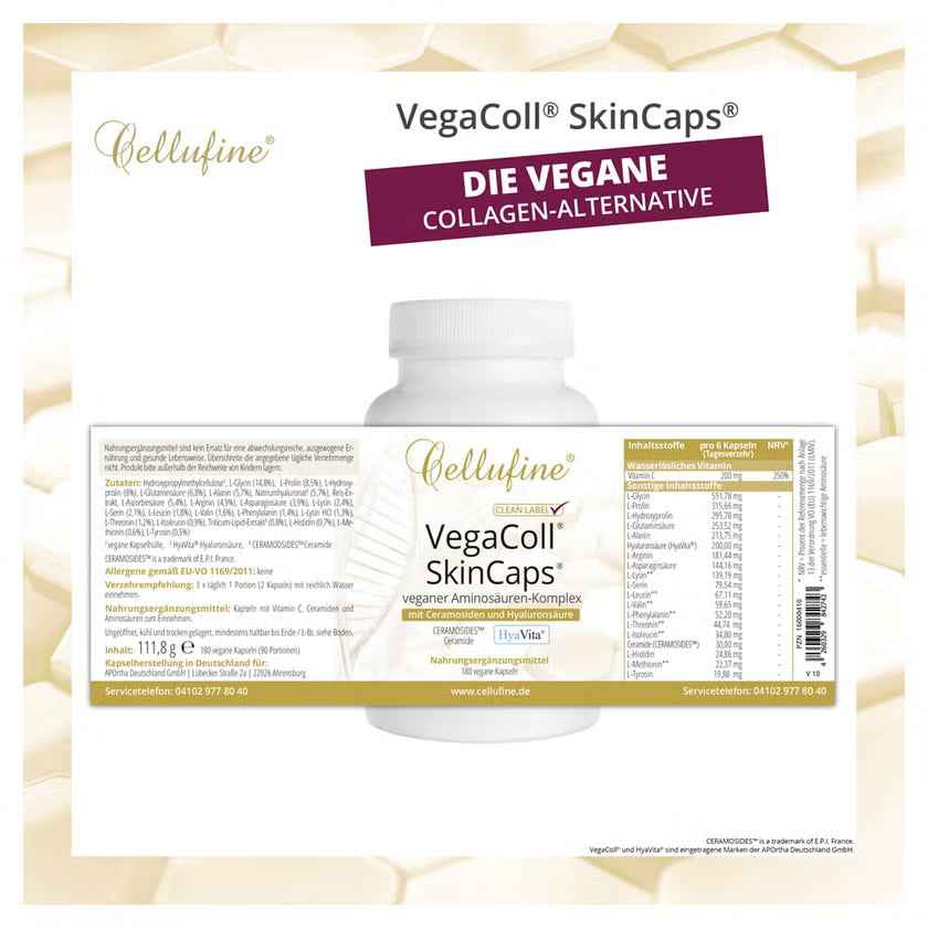 CELLUFINE VegaColl vegan collagen formation matrix