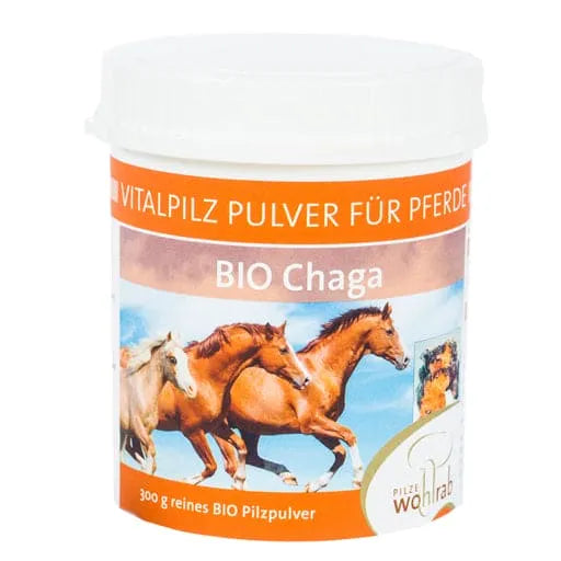 CHAGA ORGANIC medicinal mushroom powder for animals - UKDorf