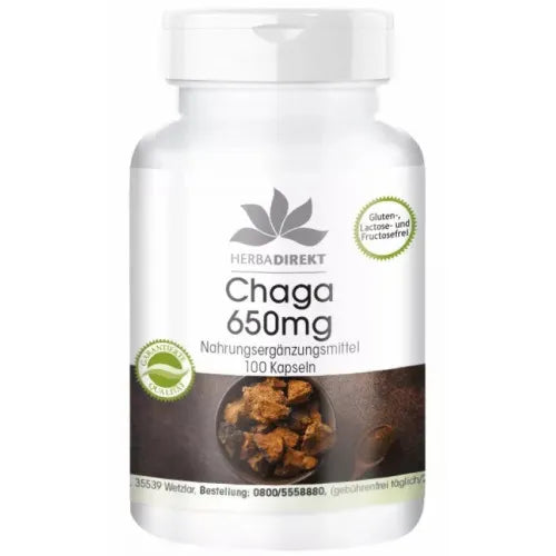 CHAGA mushroom 650 mg capsules - UKDorf