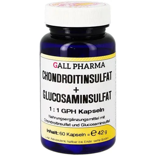 CHONDROITIN SULFATE+Glusosamine Sulfate 1:1 GPH Capsules - UKDorf