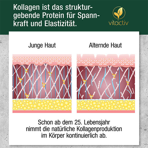 COLLAGEN POWDER - UKDorf