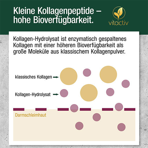 COLLAGEN POWDER - UKDorf