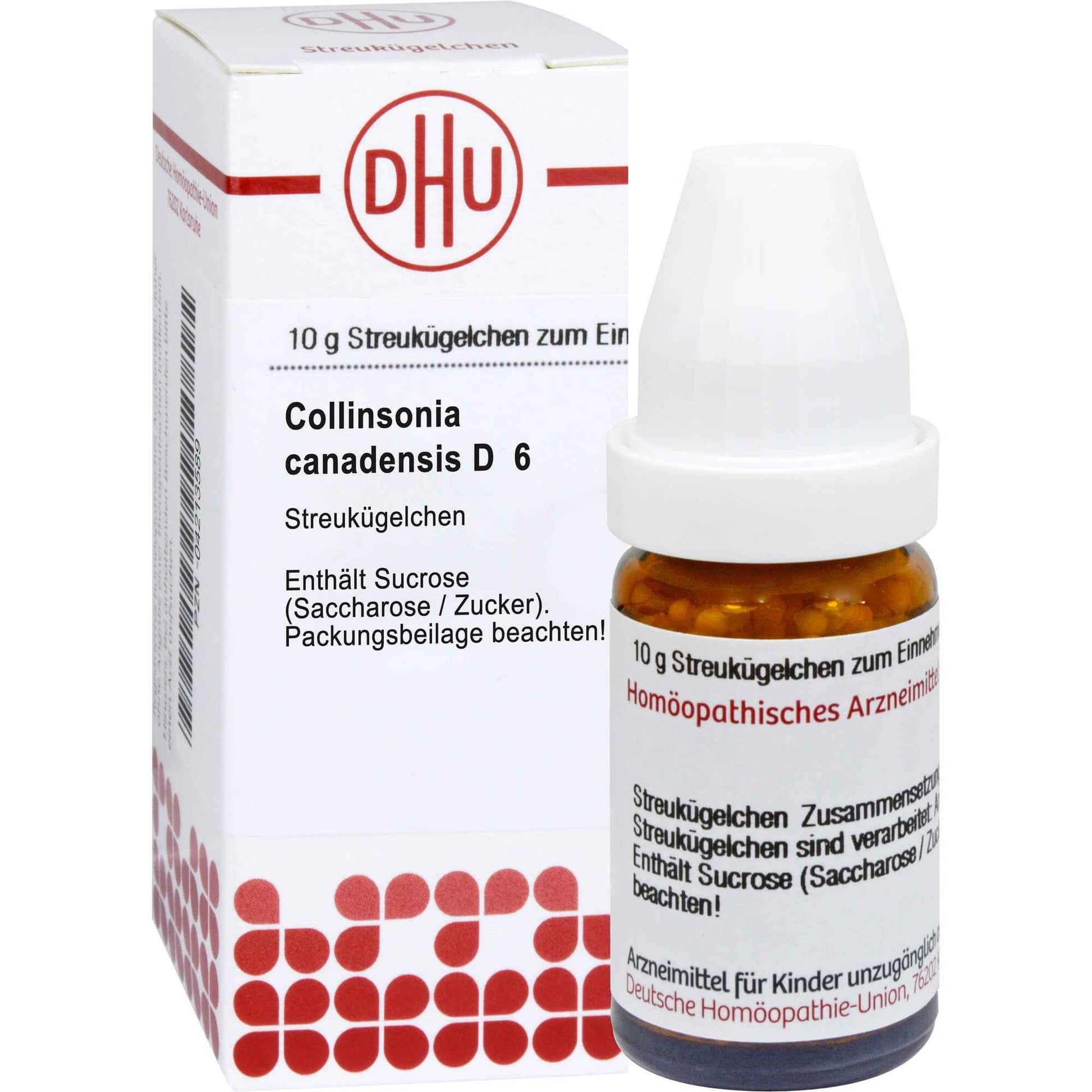 COLLINSONIA CANADENSIS D 6 globules