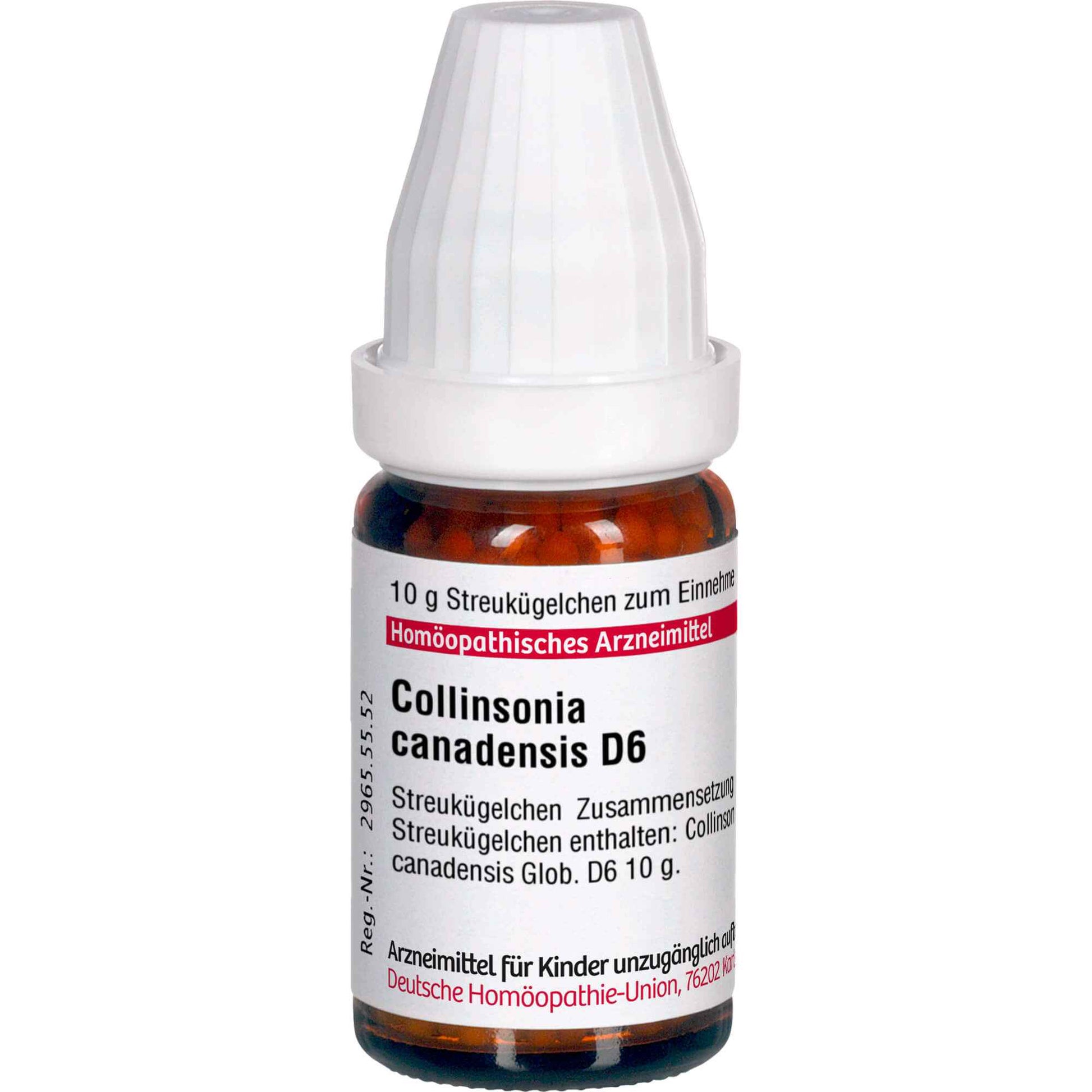 COLLINSONIA CANADENSIS D 6 globules