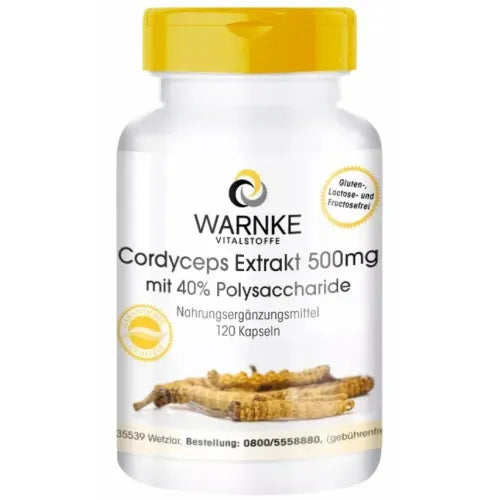 CORDYCEPS EXTRACT 500 mg capsules - UKDorf