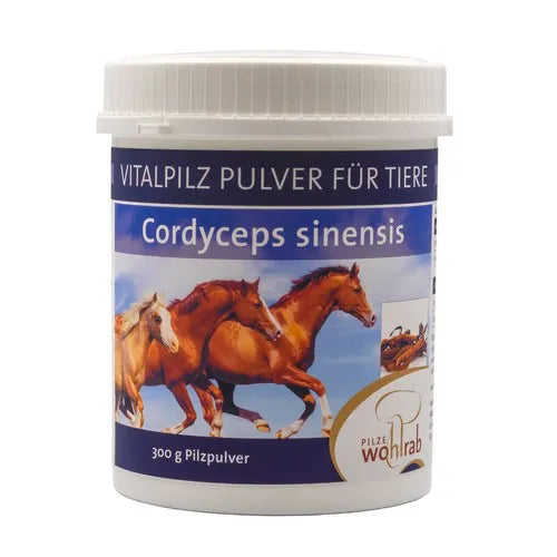 CORDYCEPS VITAL MUSHROOM powder for animals - UKDorf