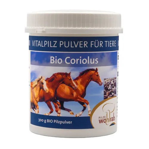 CORIOLUS ORGANIC medicinal mushroom powder for animals - UKDorf