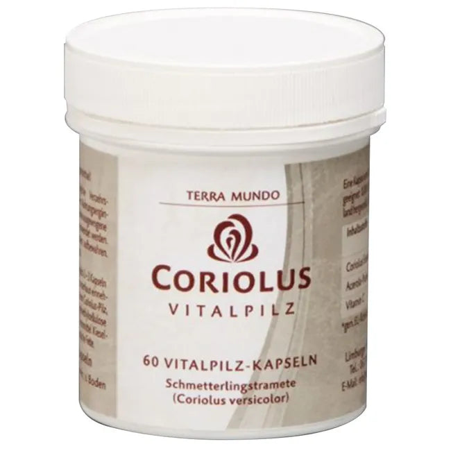 CORIOLUS VITAL MUSHROOM Organic Terra Mundo Capsules - UKDorf