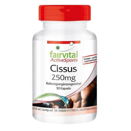 Cissus Capsules - UKDorf