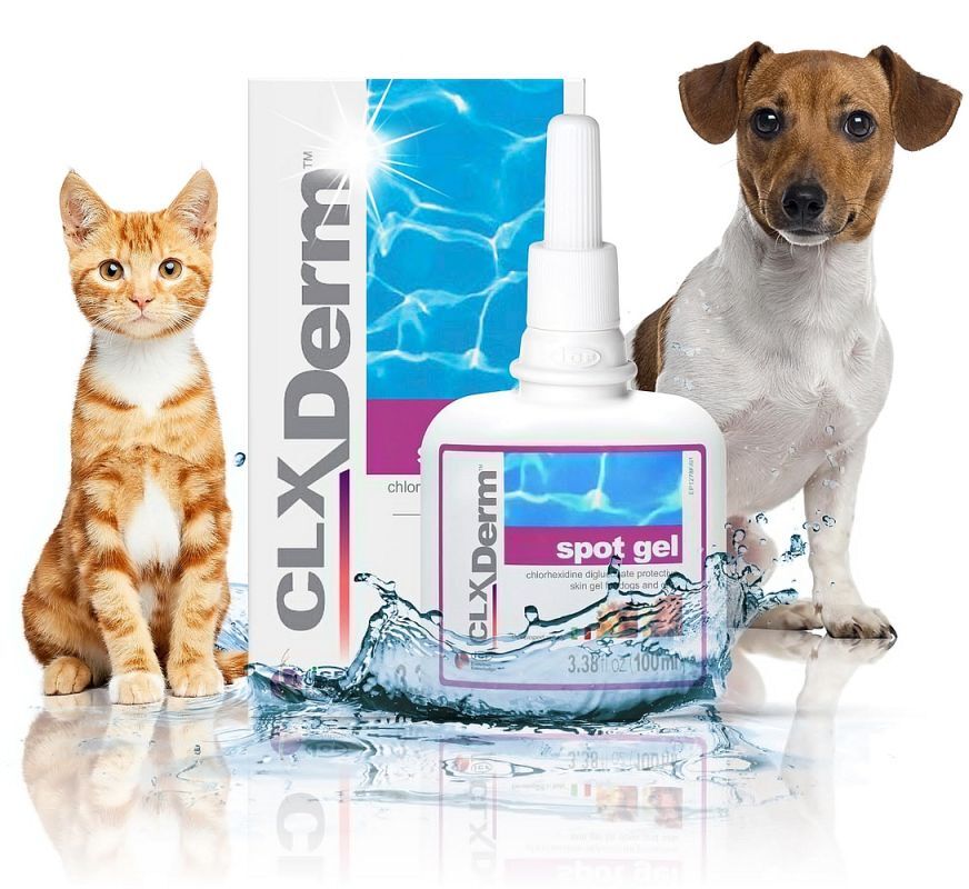 Clorexyderm Spot Gel Disinfectant for dogs and cats - UKDorf