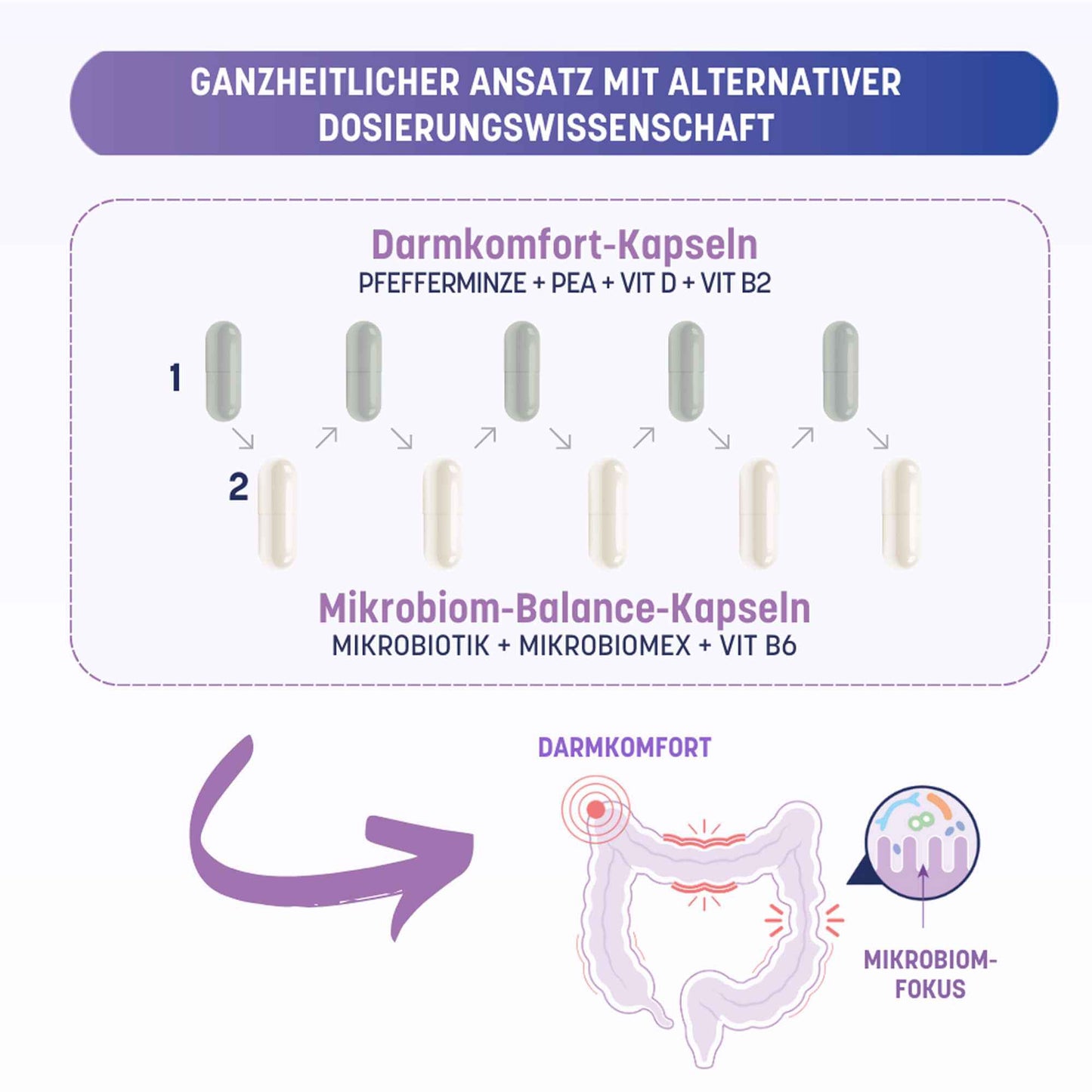 DARMBIOMIX SUPPORT Capsules