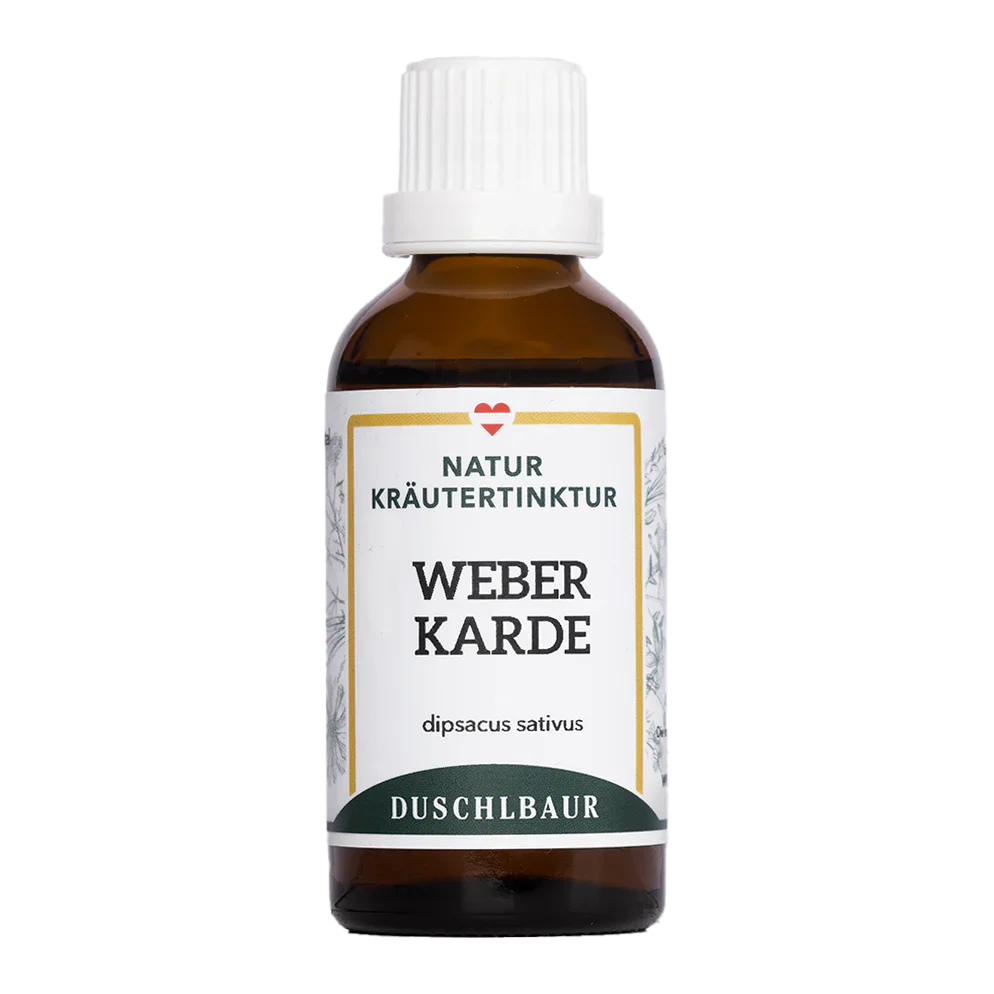 DIPSACUS SATIVUS Weberkarde mother tincture