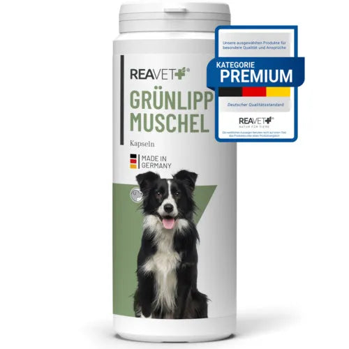 DOG REAVET Green-Lipped Mussel Capsules 300 pcs