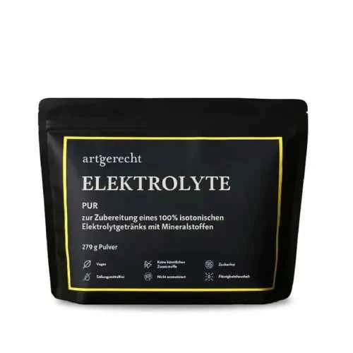 ELECTROLYTE powder 279 g