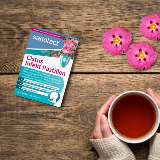 Echinacea, Echinaceapurpurea, coneflower, Cistus Infection Pastilles - UKDorf