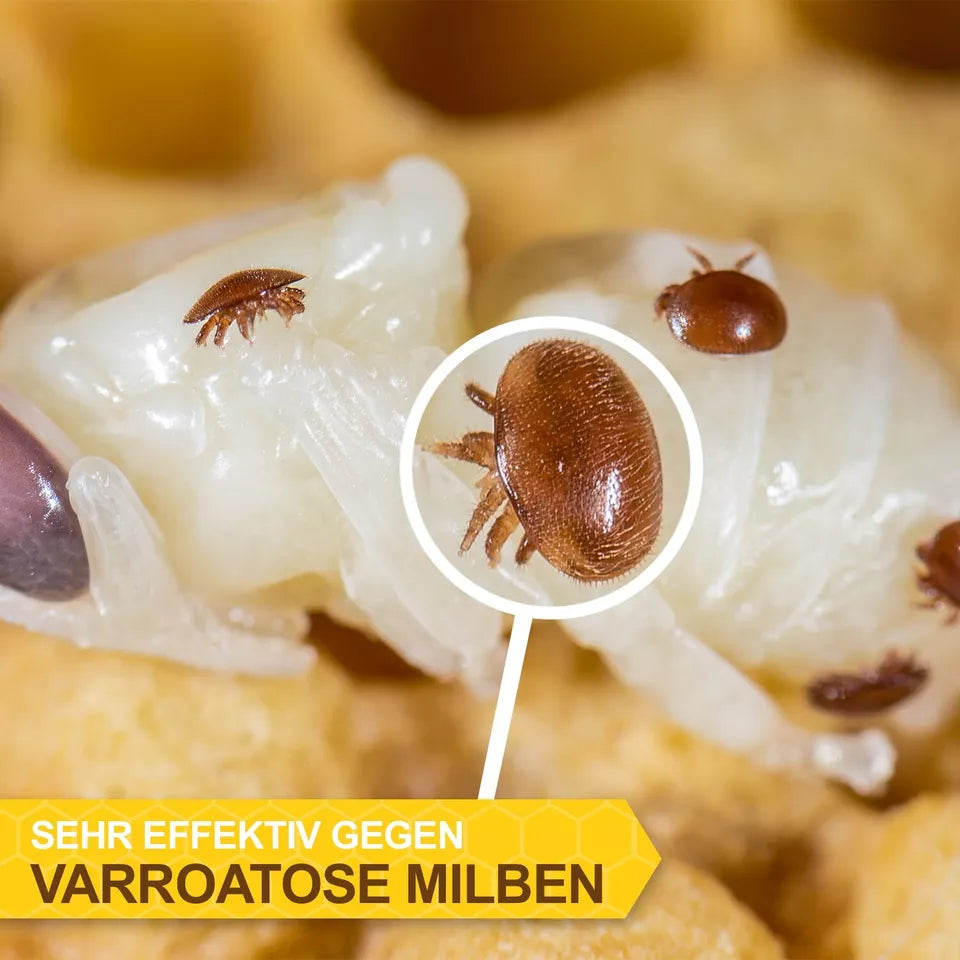 FORMIC ACID beekeeping, Varroa treatment - UKDorf