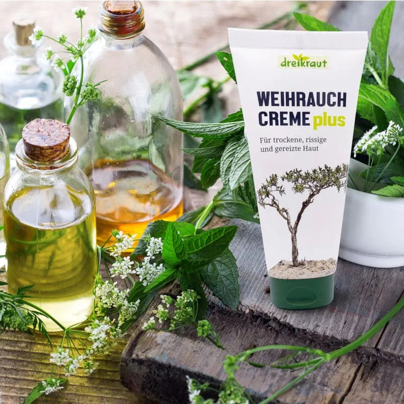 FRANKINCENSE CREAM plus tube - UKDorf