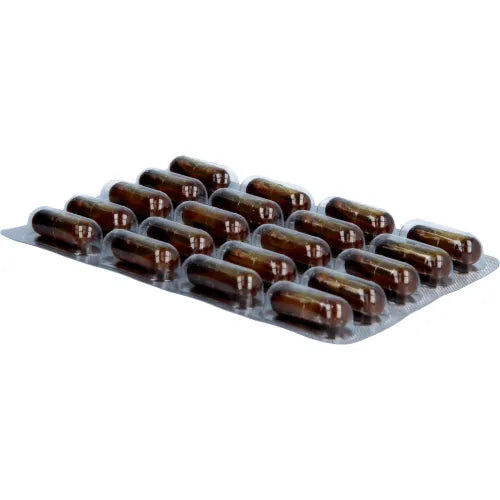 GINGERIN PLUS gingerol and shogaol capsules 60