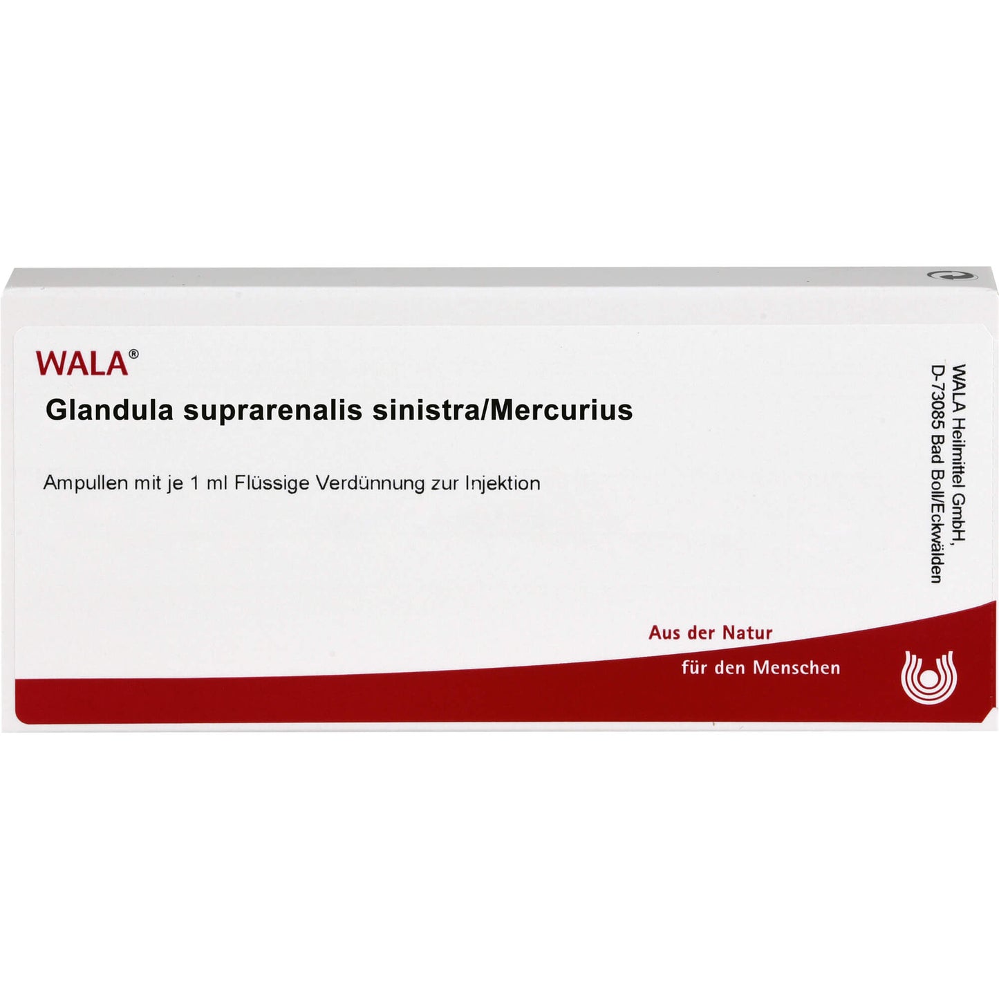 GLANDULA SUPRARENALIS sinistra, Mercurius ampoules