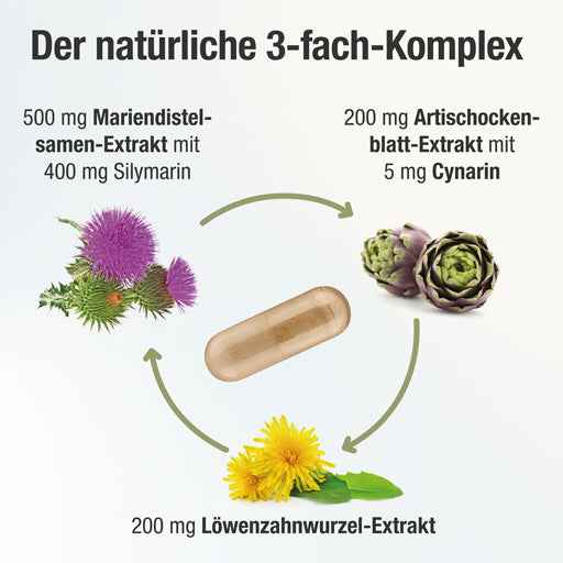 HEPAVENT Plus Liver Choline Milk Thistle. Artichoke