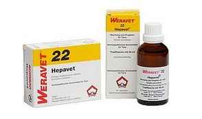 HEPAVET 22 drops vet. 50 ml