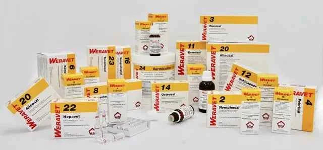 HEPAVET 22 ampoules vet. 10X2ml