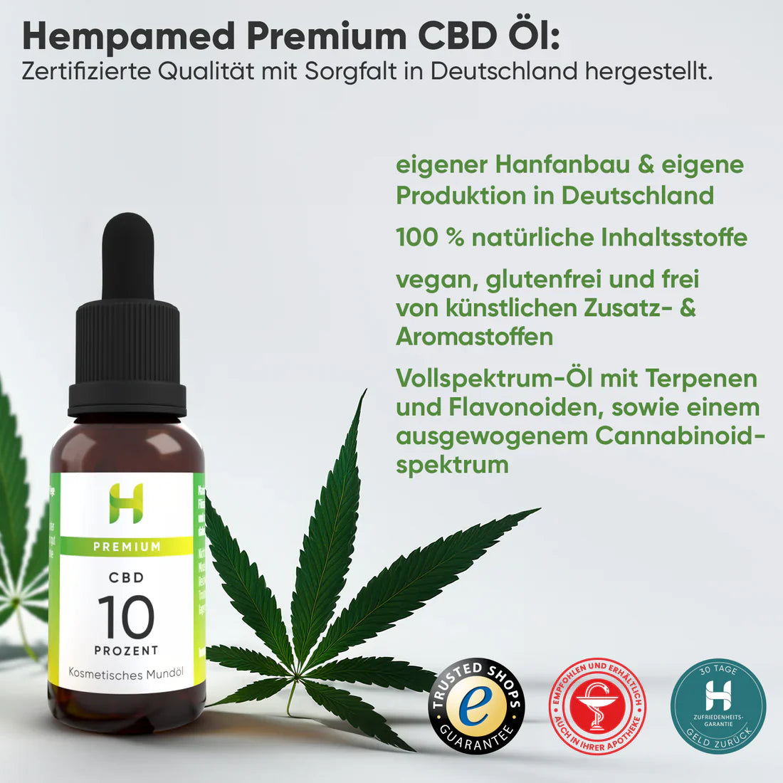Hempamed Premium CBD Oil 10% - UKDorf