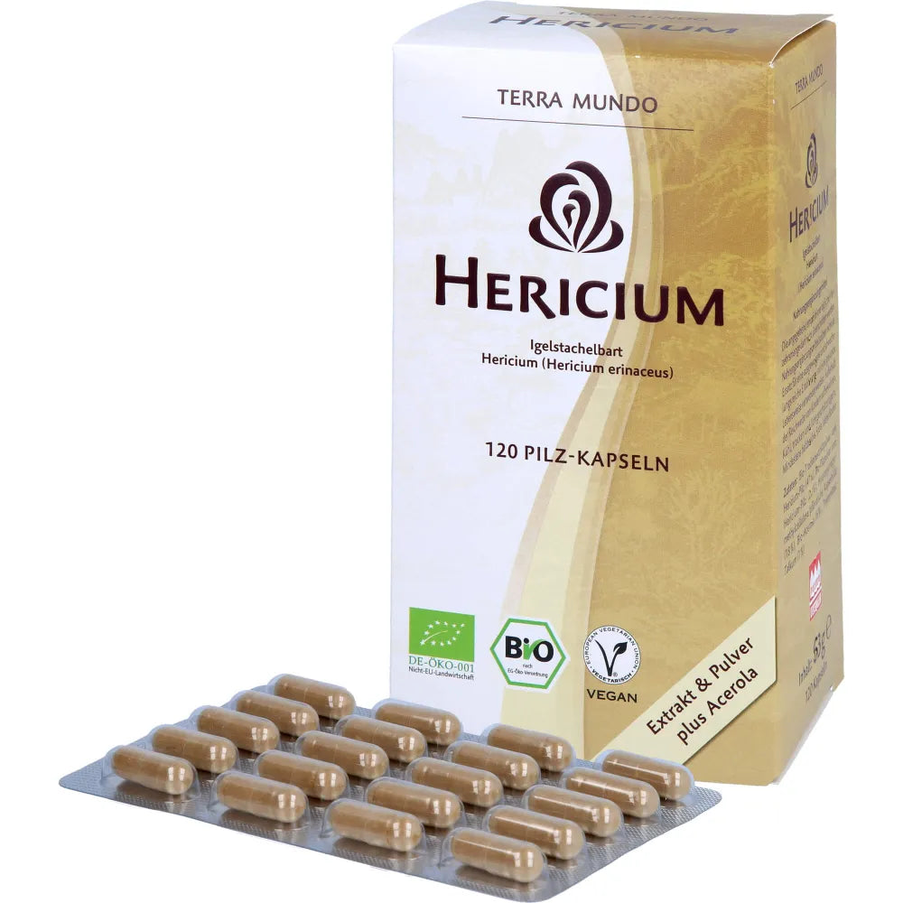 Hericium ORGANIC medicinal mushroom - UKDorf