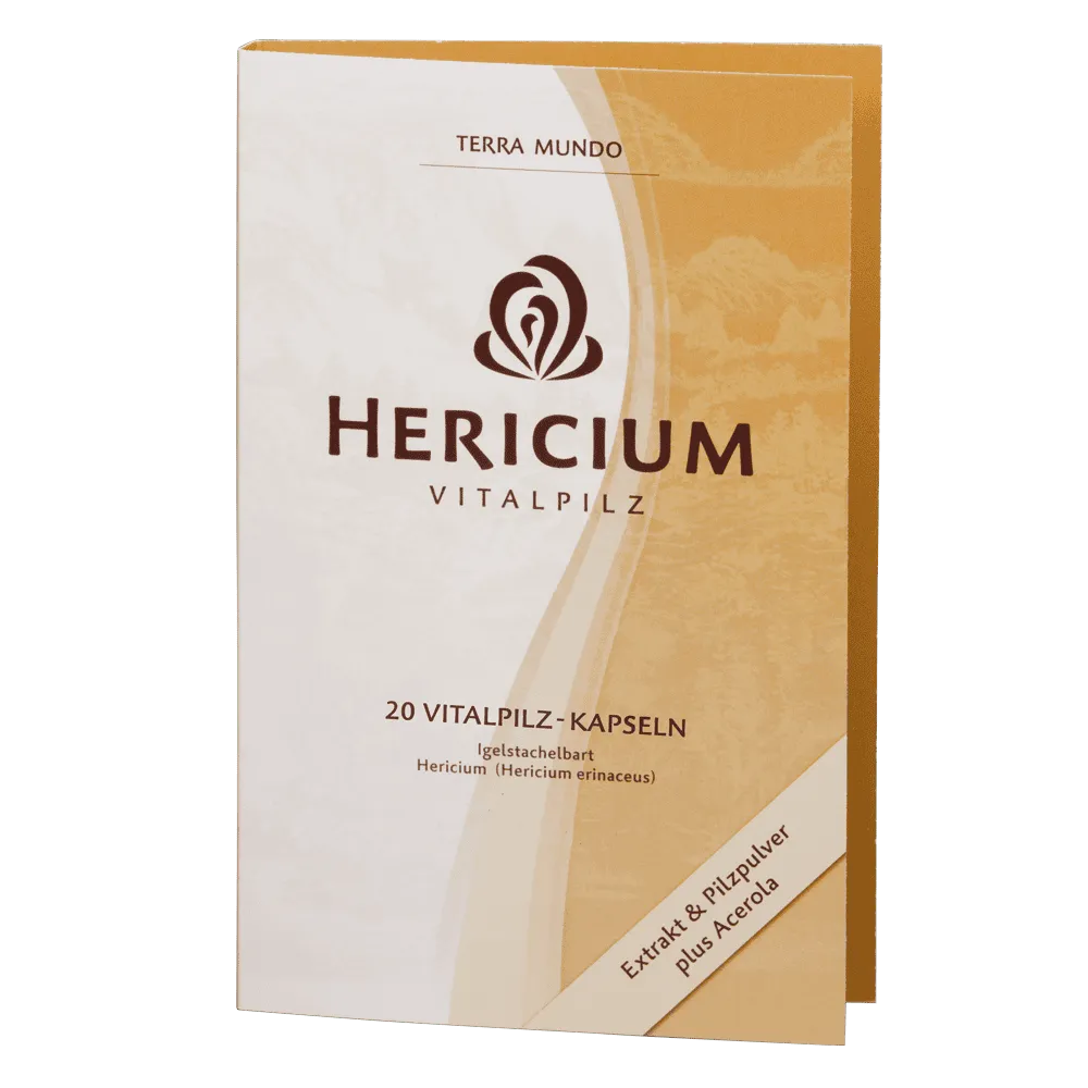 Hericium ORGANIC medicinal mushroom - UKDorf
