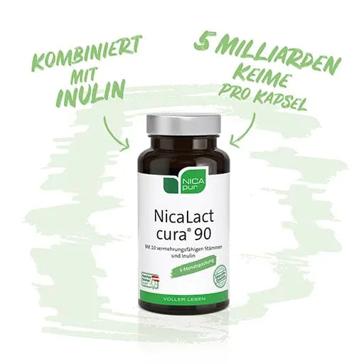 Inulin from chicory, 10 viable probiotic bacteria strains, NicaLact cura - UKDorf