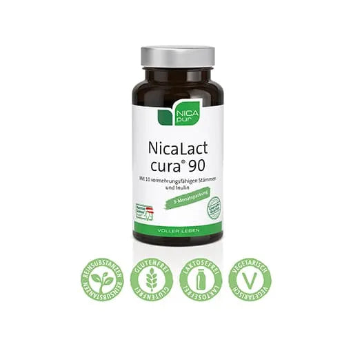 Inulin from chicory, 10 viable probiotic bacteria strains, NicaLact cura - UKDorf