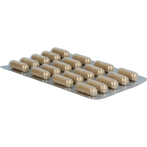 LUVOS healing clay microfine capsules 60 pc