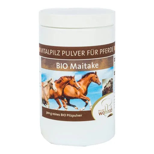 MAITAKE ORGANIC Medicinal Mushroom Powder for Animals - UKDorf