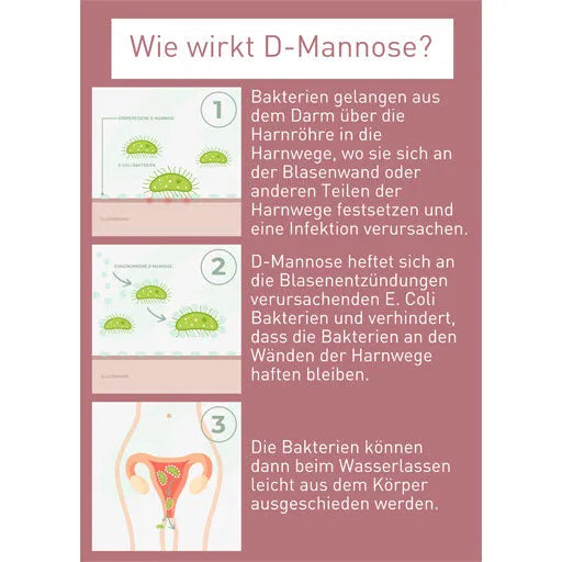 N1 D-Mannose Urinary Tract Direct Sticks - UKDorf