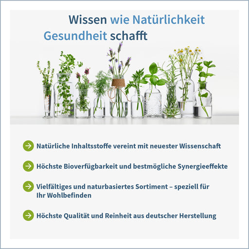 NAC 600 N-Acetyl-L-Cysteine - UKDorf