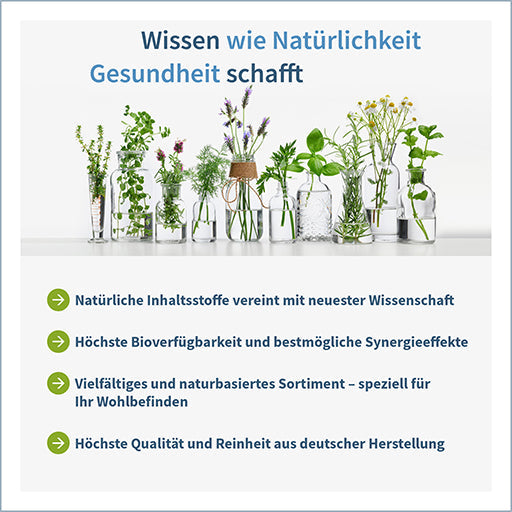 NEUROIDEALIS Vitamin B Complex + Lipoic Acid Capsules - UKDorf
