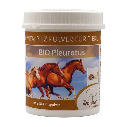 PLEUROTUS ORGANIC medicinal mushroom powder for animals - UKDorf
