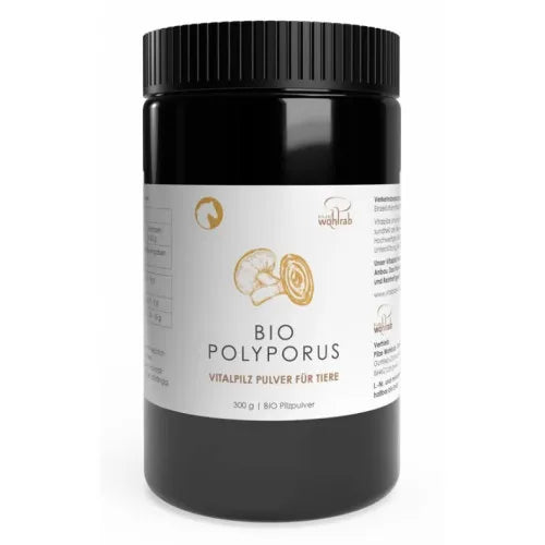 POLYPORUS ORGANIC feed powder for animals - UKDorf