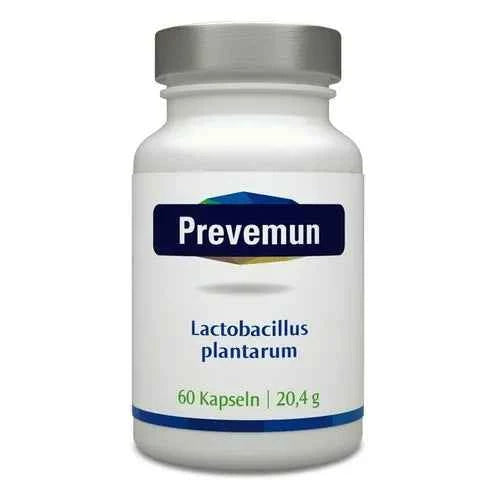 PREVEMUN Lactobacillus plantarum Capsules