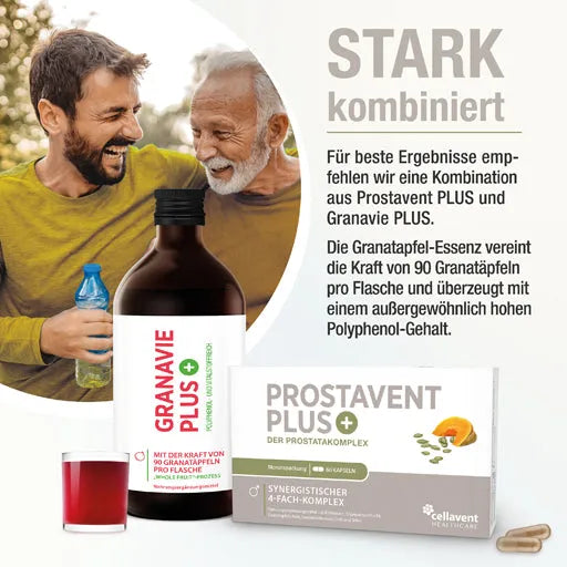 PROSTAVENT Plus Prostate Pumpkin Pomegranate Zn Se - UKDorf