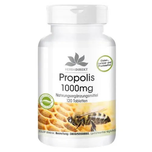 Propolis extract 1000mg tablets, Galangin - UKDorf